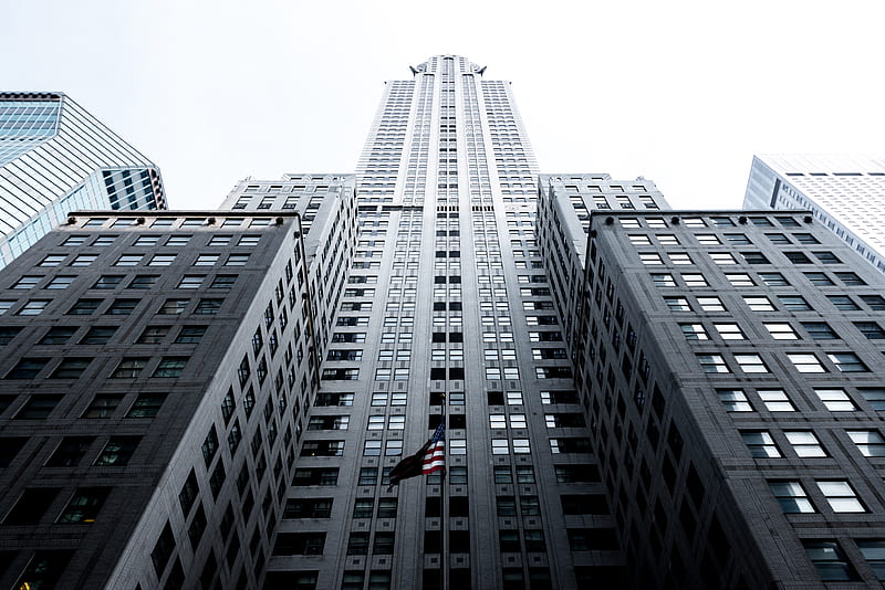 low angle of gray concrete high-rise building, HD wallpaper