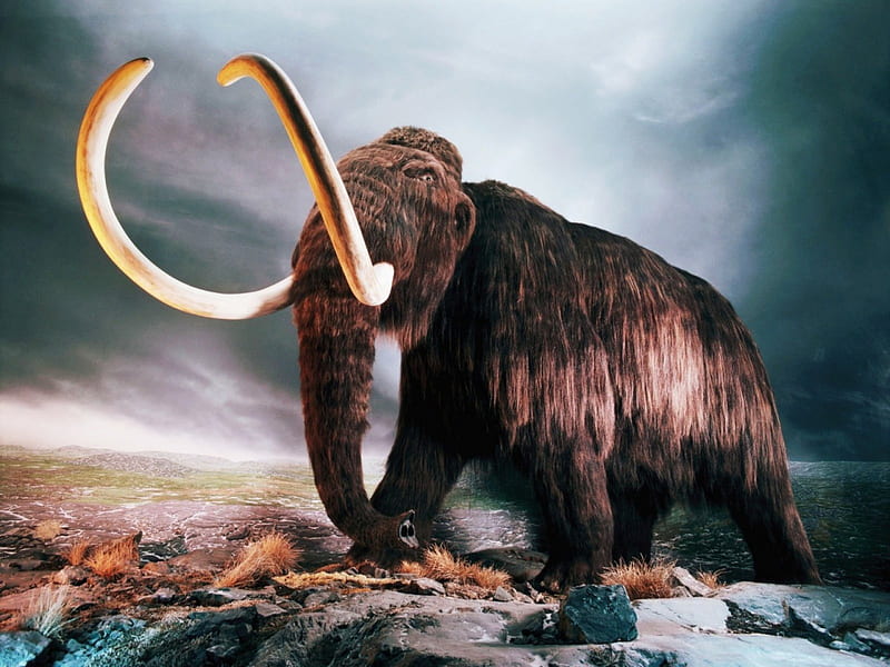woolly mammoth, sky, woolly, mammoth, landscape, HD wallpaper