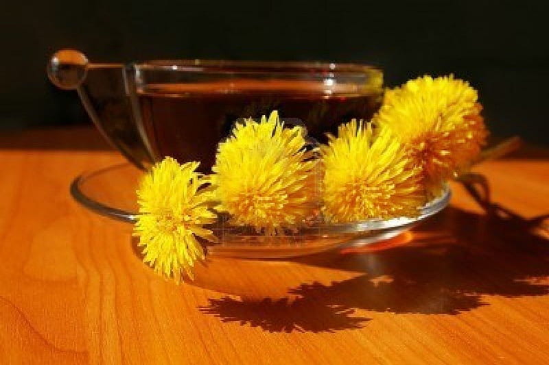 Dandelion Tea Dandelions Tea Still Life Glass Flowers Nature Weeds Relaxation Hd 7947