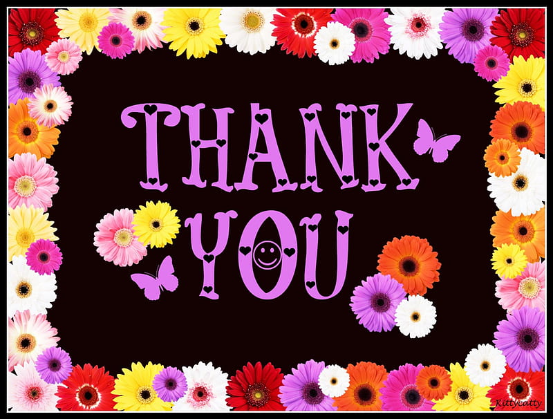 Thank You , daisies, thank you, friendship, colors, thank you card, butterflies, HD wallpaper