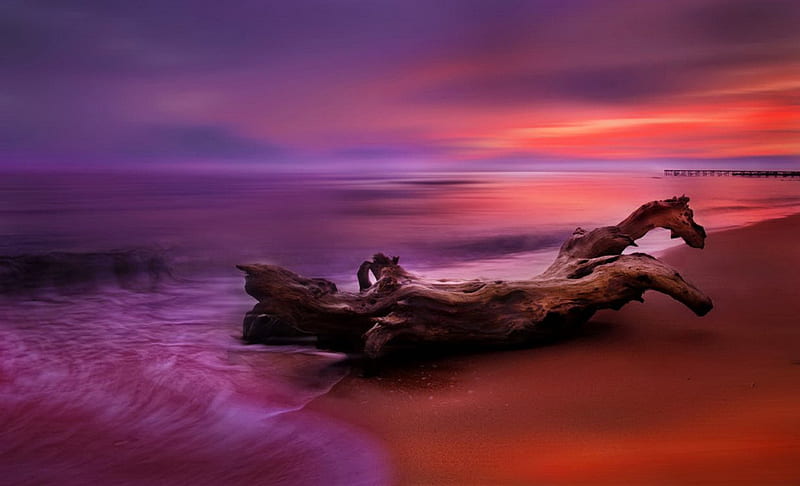 The sea dragon colorful, amazing, shore, lovely, colors, bonito, sunset, waves, sky, dragon, sea, nice, purple, sands, wood, HD wallpaper