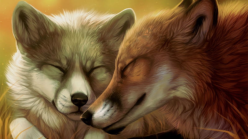 Foxes, art, fantasy, fox, couple, animal, HD wallpaper | Peakpx
