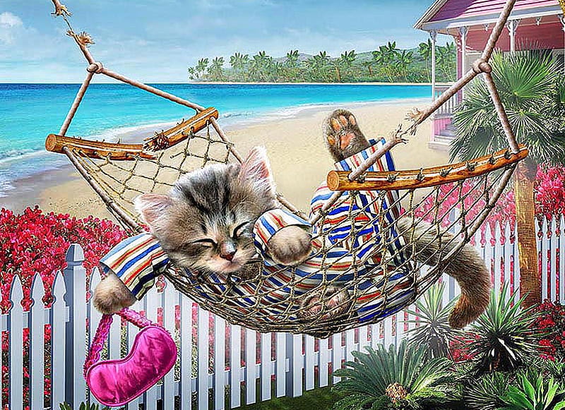 :), hammock, kitten, cat, pisici, sleep, nap, sea, beach, vara, fantasy, adrian chesterman, summer, pink, HD wallpaper
