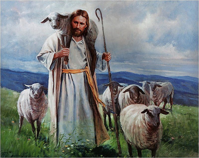 Good shepherd, christ, jesus, christianity, lamb, religion, shepherd, god, HD wallpaper