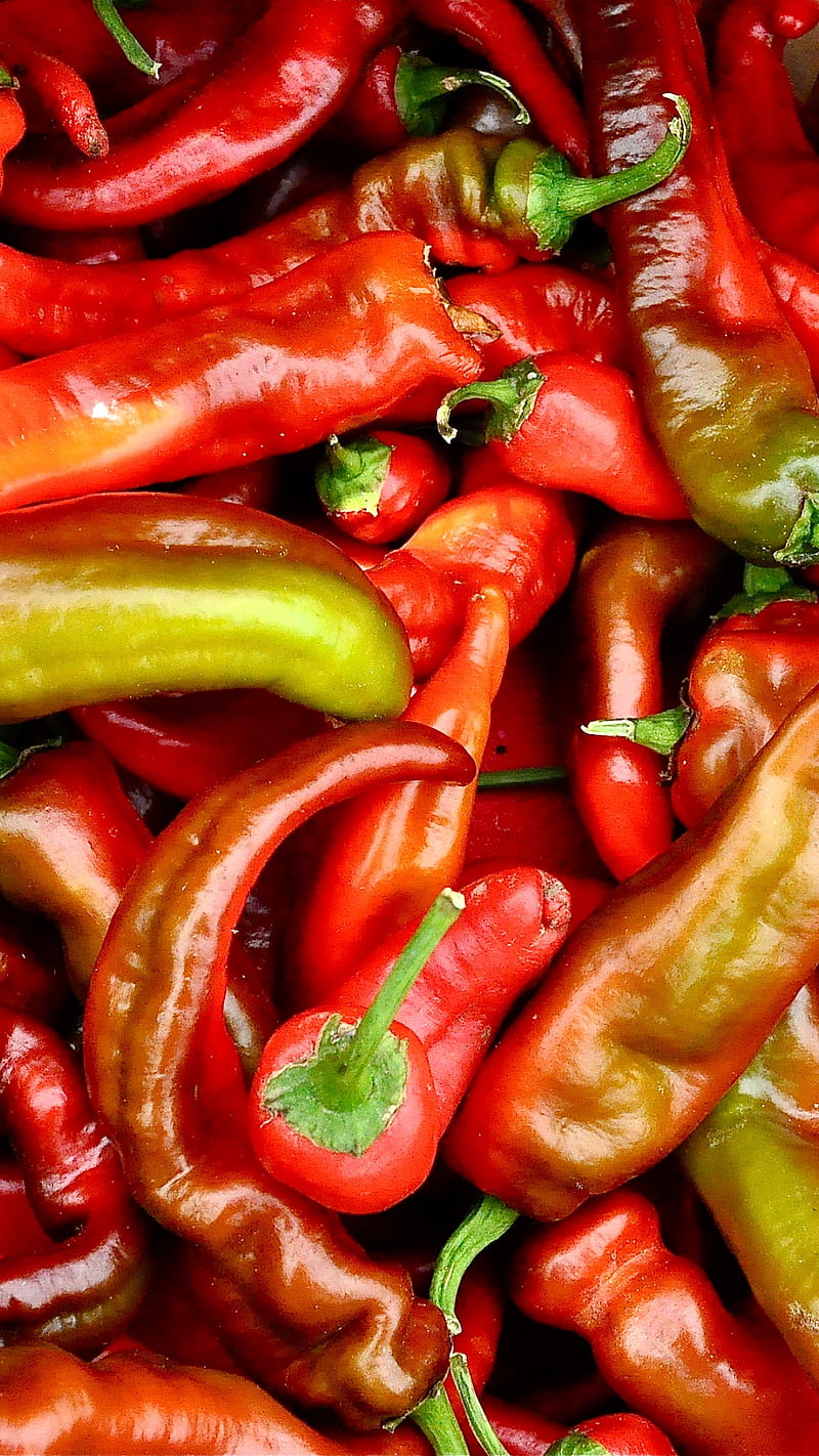 Chili Peppers, colorful, peppers, HD phone wallpaper