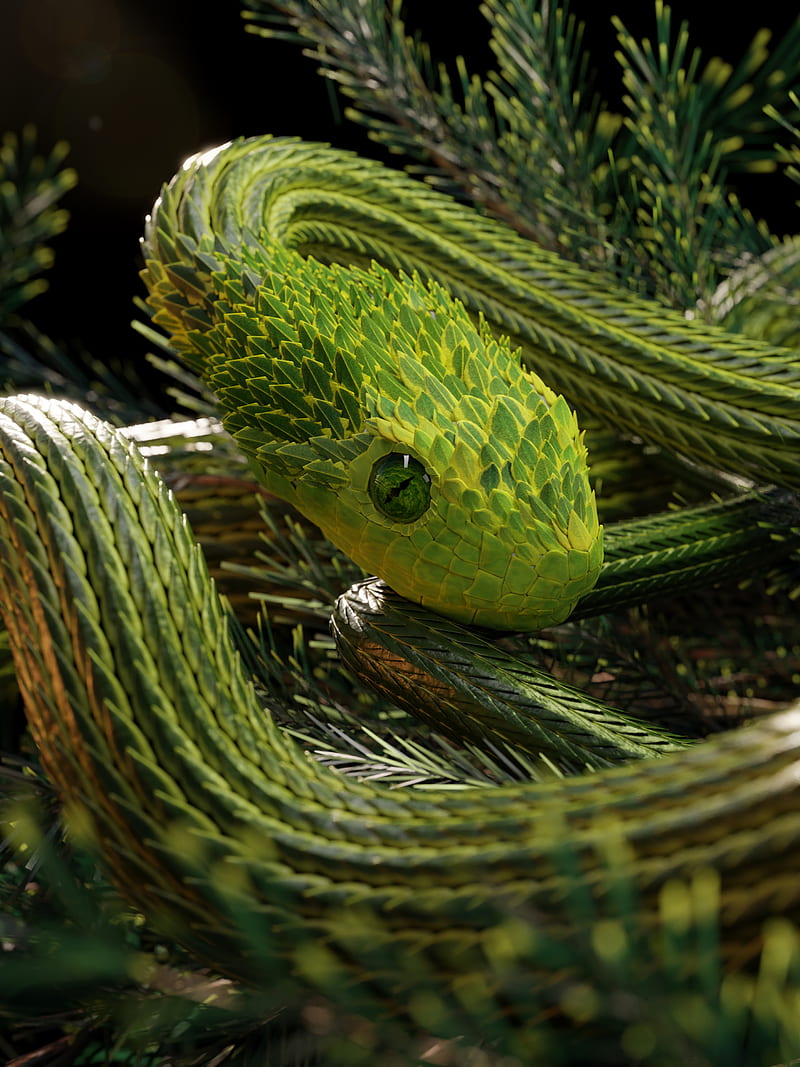 snake, green, reptile, scales, 3d, HD phone wallpaper