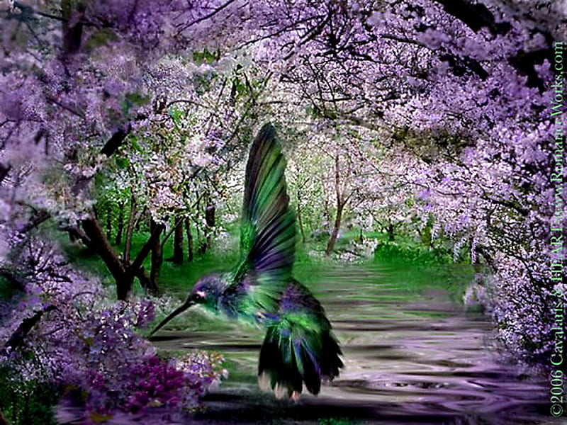 Lilac haven, purple, flight, green and purple, green grass, hummingbird, trees, lilacs, nectar, HD wallpaper