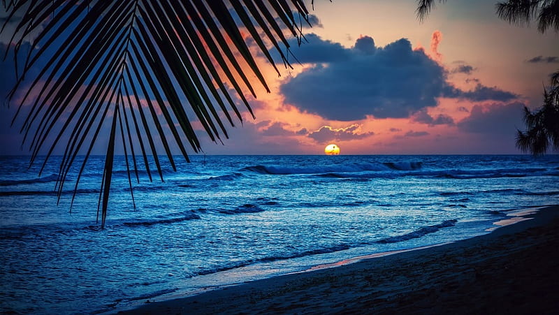 Caribbean Sea Beach Evening, HD wallpaper