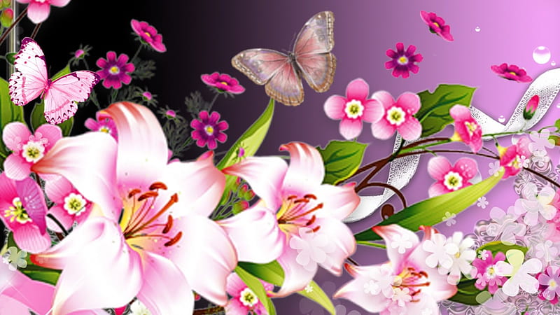 Lilies White and Butterflies Bright, colorful, fragrant, lilies, spring, lavender, aroma, butterfly, bright, summer, flowers, lily, pink, HD wallpaper