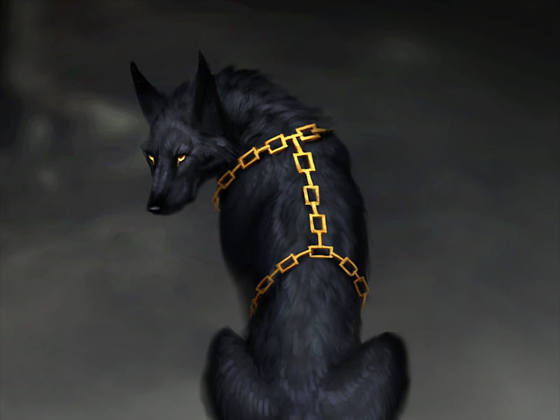 Guard, chain, fantasy, black, caine, jademerien, wolf, dog, animal, golden, HD wallpaper