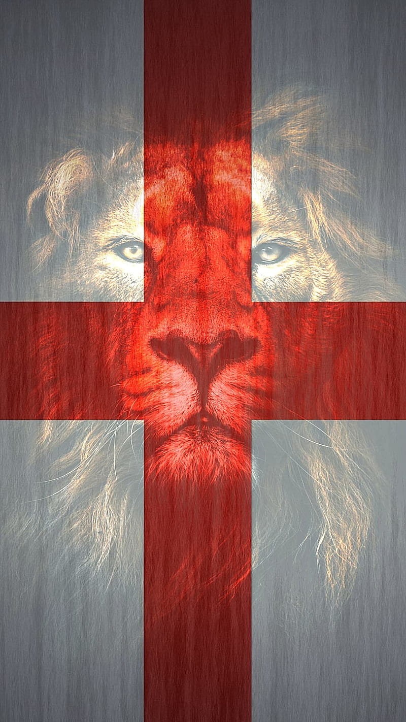 England, flag, three lions, HD phone wallpaper