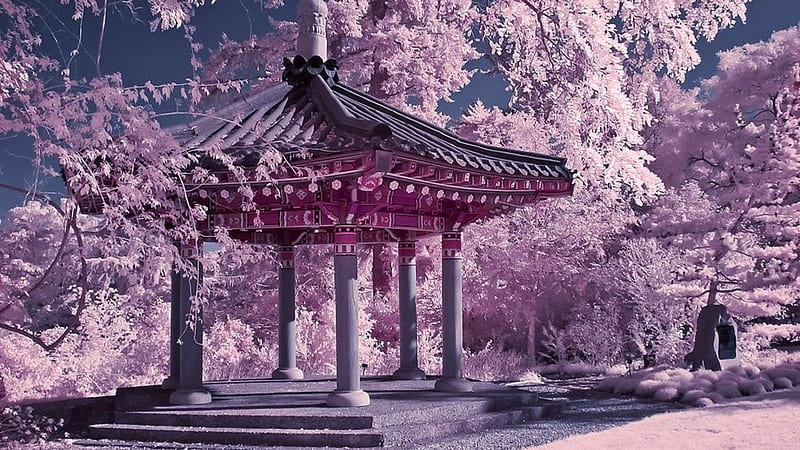 Japanese Cherry Blossom Gazebo, flowers, japanese, gazebo, pink, HD wallpaper