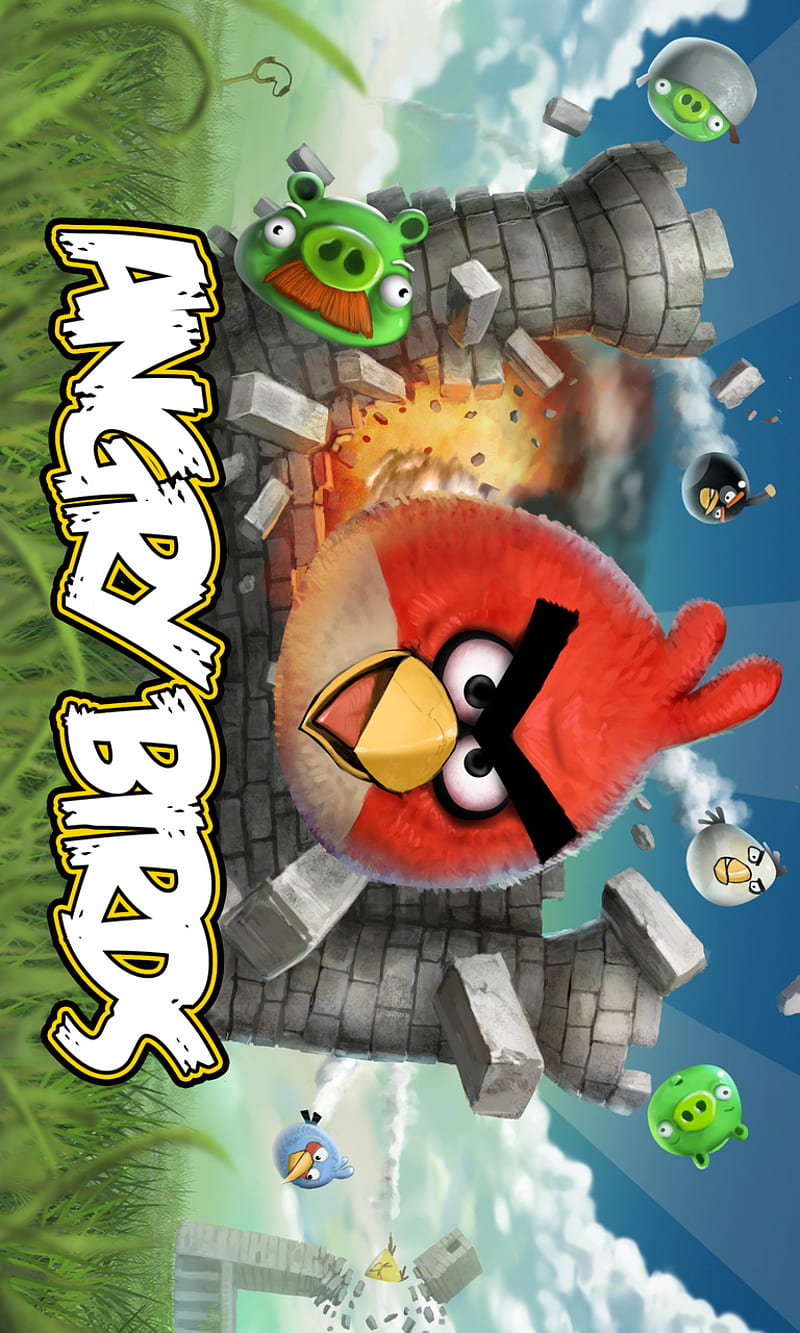 Birds Of Angry, angry birds, art, cartoon, tv, video game, HD phone  wallpaper | Peakpx