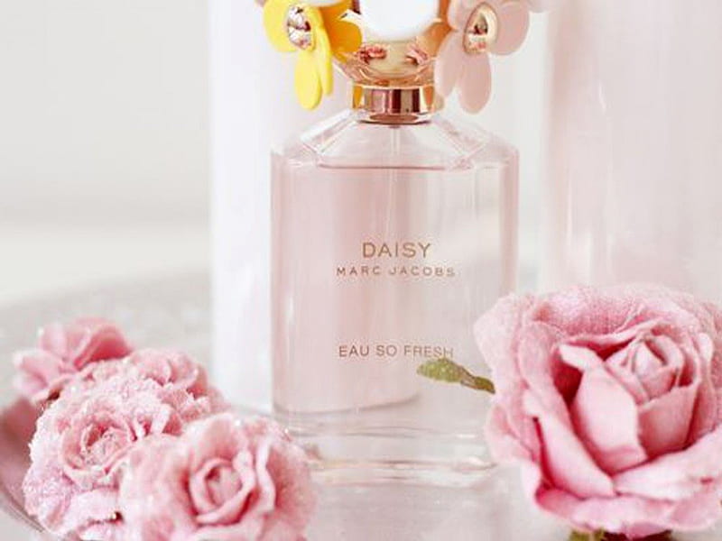 ~Daisy Perfume~, perfume, lady like, flowers, feminine, scent, aroma, pink roses, HD wallpaper
