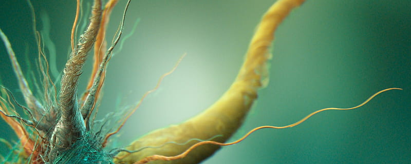 Bacteria, Abstract graphy, HD wallpaper