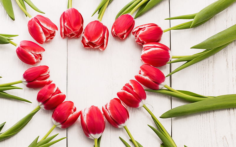 Red tulips, heart, spring, spring bouquet, tulips, HD wallpaper