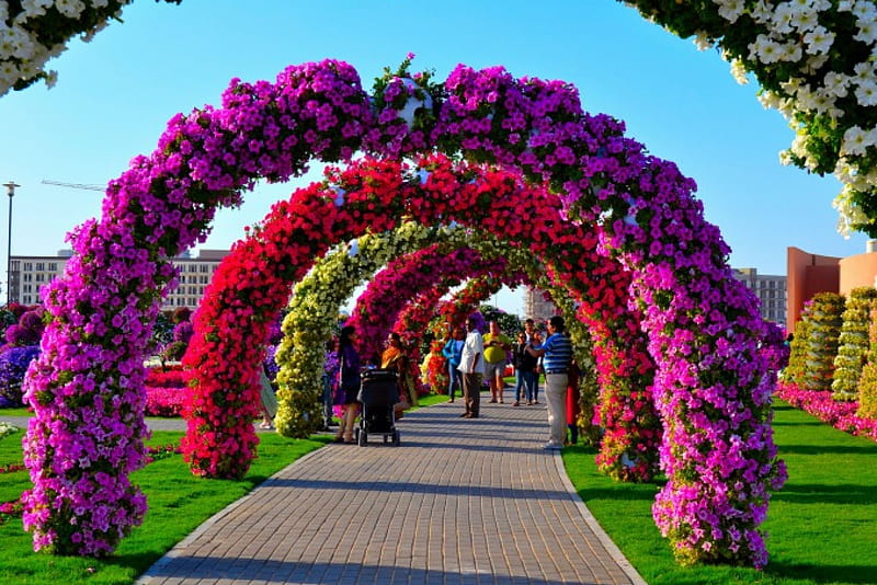 Miracle Garden, Dubai, people, blossoms, path, park, bows, HD wallpaper