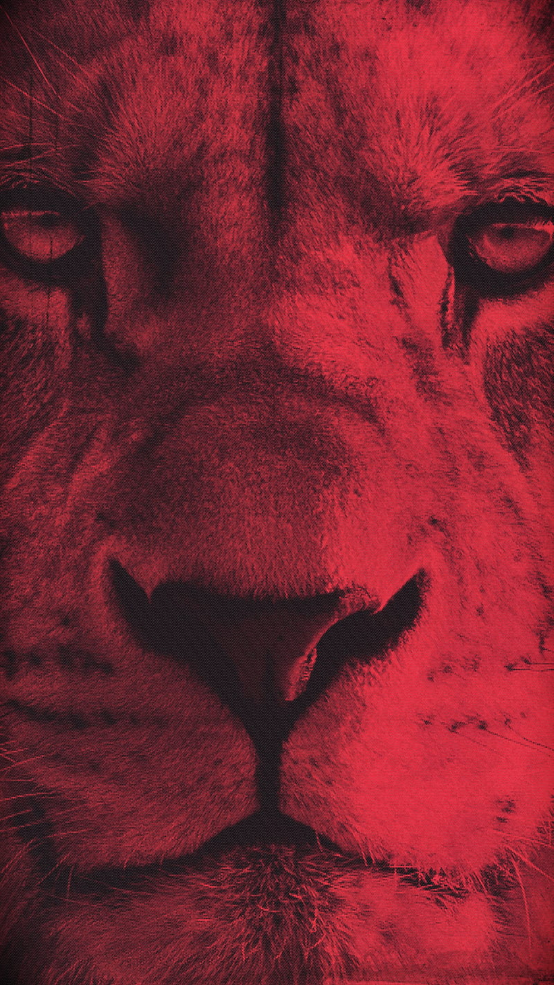 Lion, MrCreativeZ, Samsung, animal, cool, horror, iPhone, king, red, scary, HD phone wallpaper