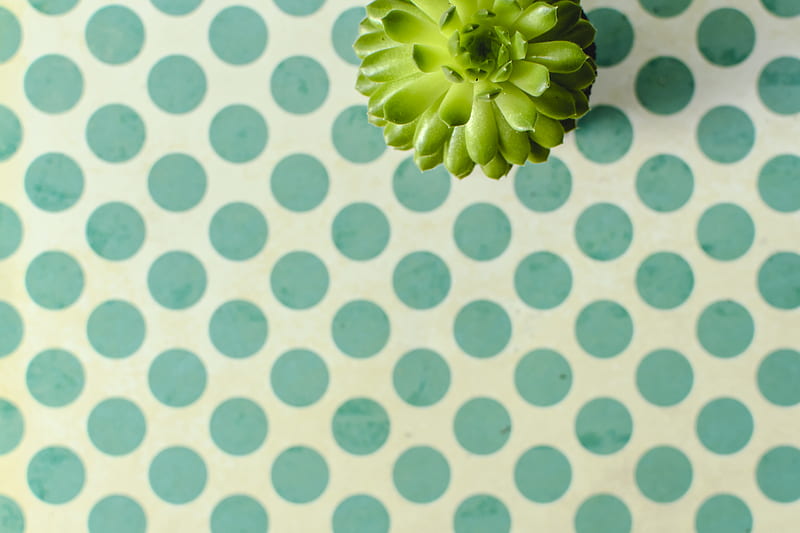 Green and White Polka Dot Textile, HD wallpaper