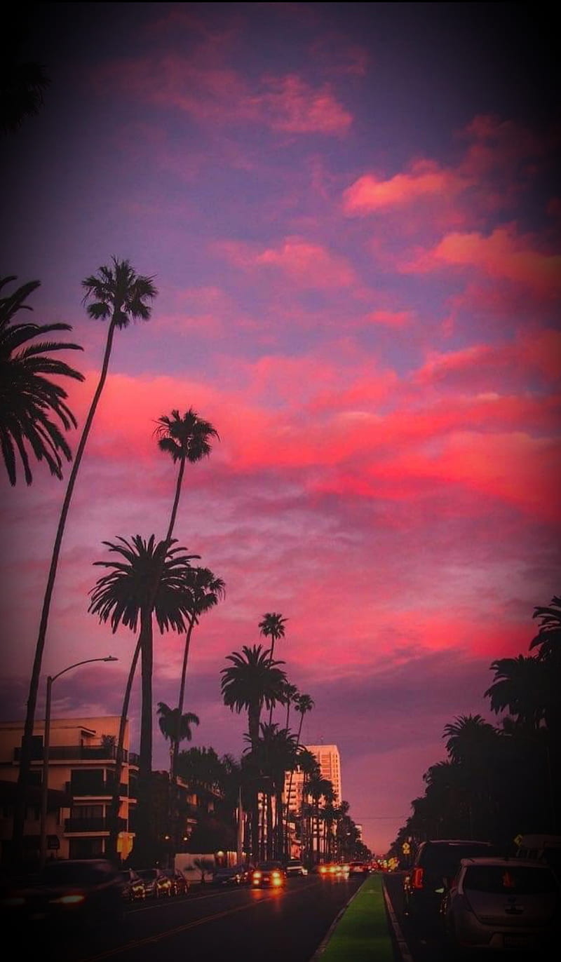 Beautiful sunset, beach, karen story, HD phone wallpaper | Peakpx