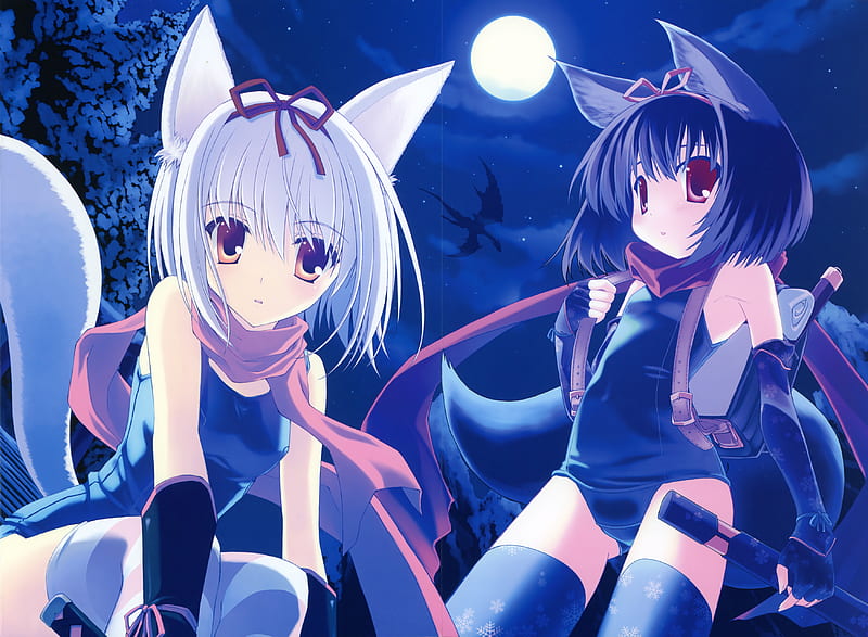 Night Nekos, catgirl, neko, cat, cat ears, animal, moon, anime, girls, night, HD wallpaper