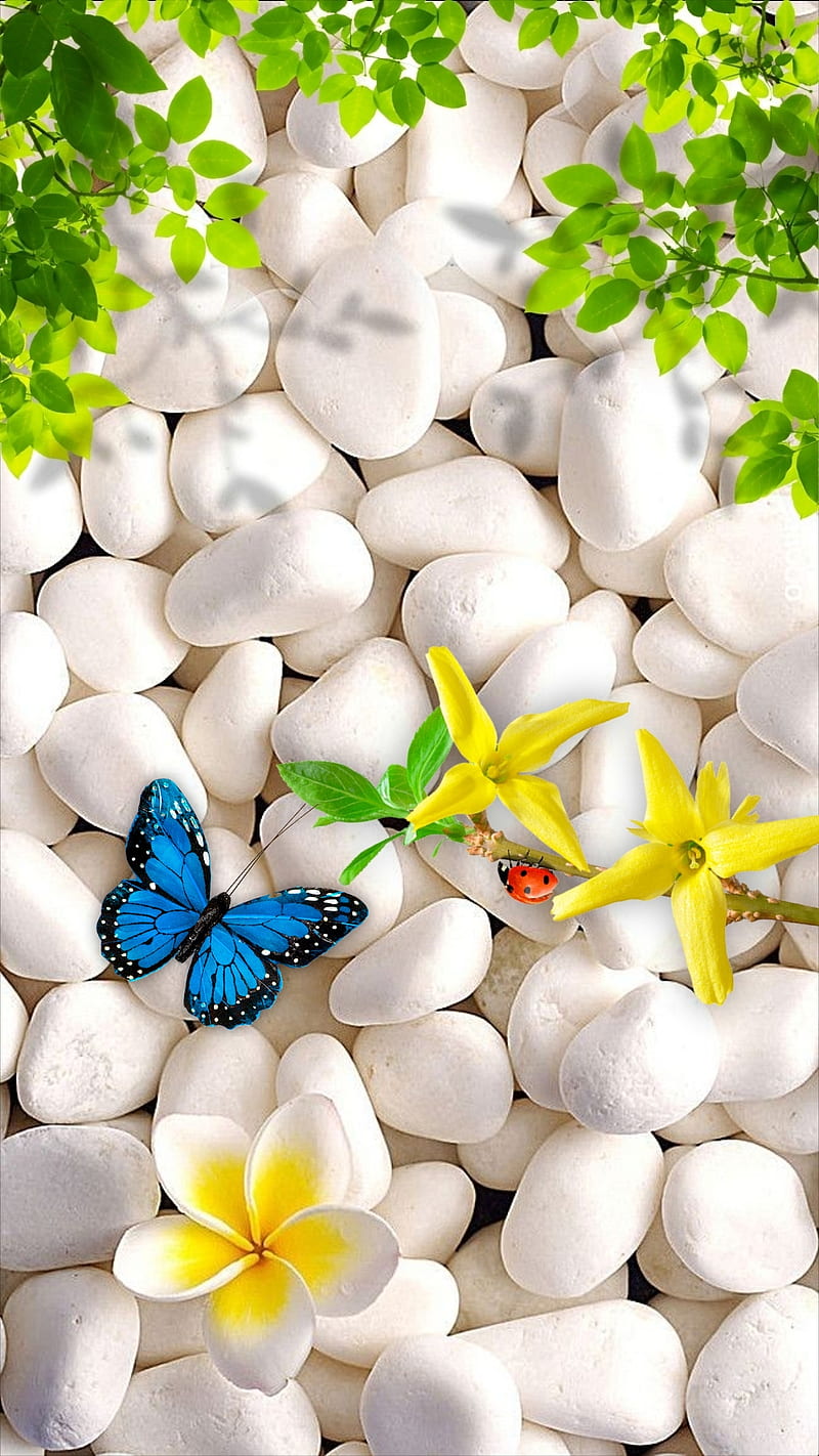 White pebbles, blue butterfly, flowers, green, green leaves, ladybug, leaves, shadow, stones, yellow, HD phone wallpaper