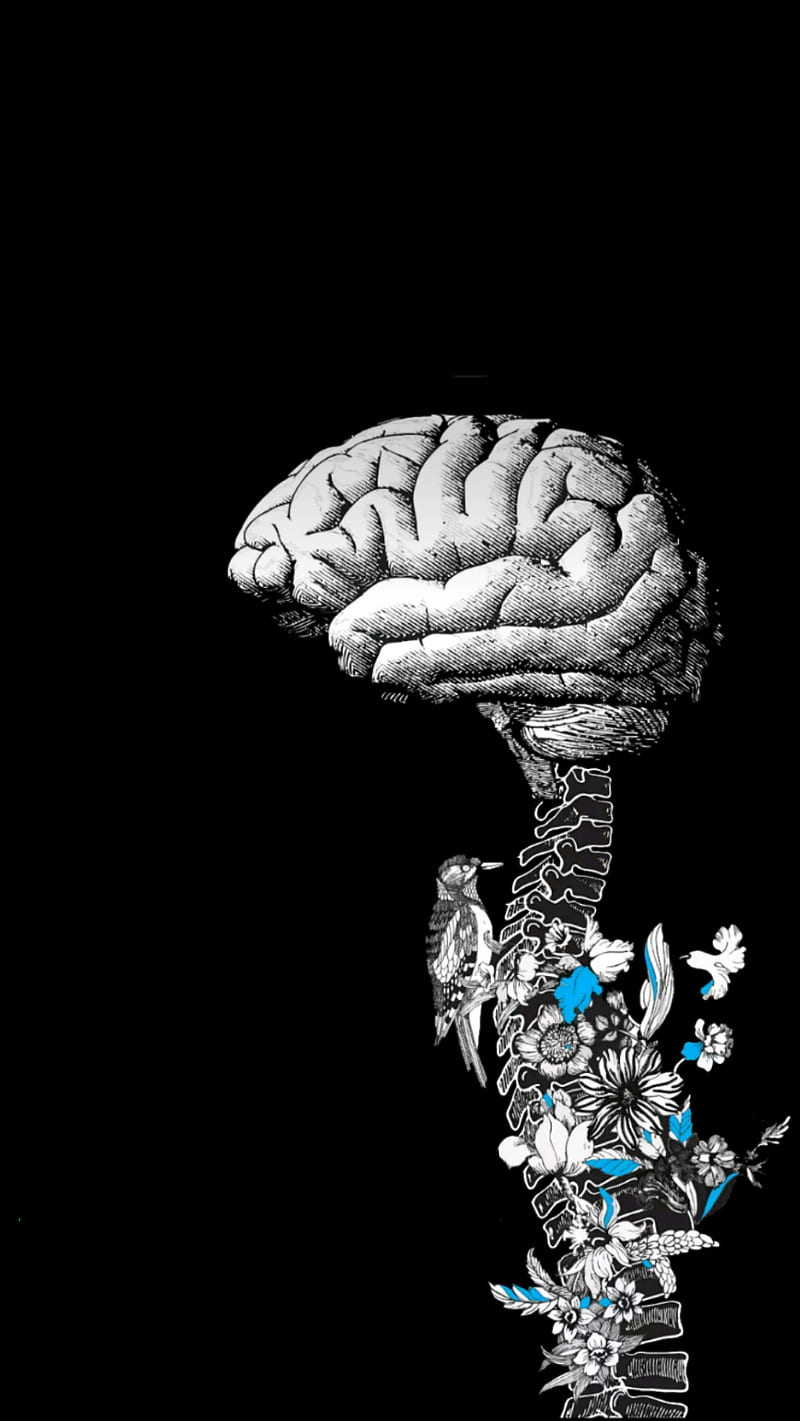 Adam Jensen, birds, brain, love, skeleton, skull, spine, HD phone wallpaper