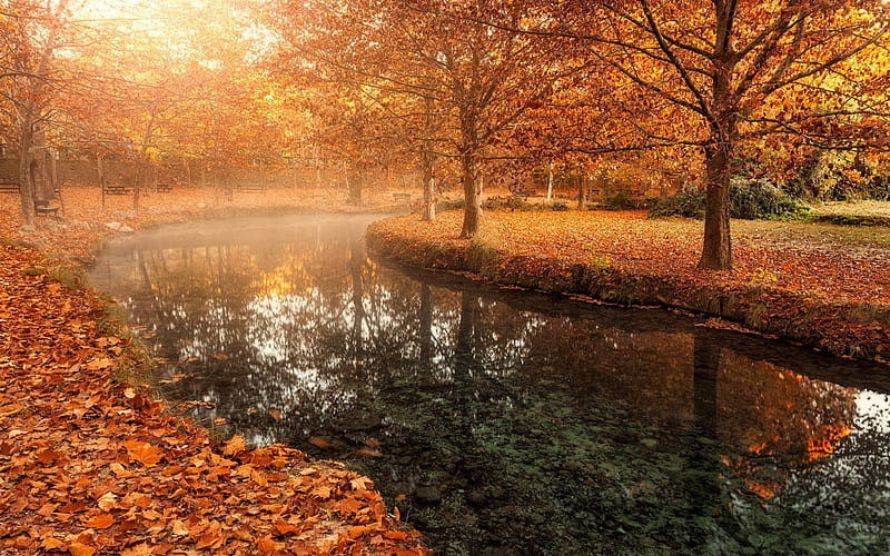 deep autumn, park, benches, yellow leaves, November, autumn landscape, river, HD wallpaper