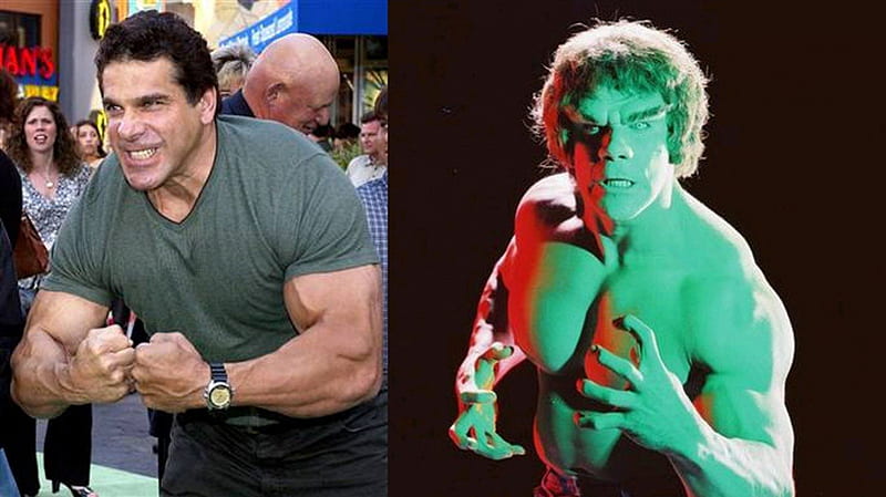 Lou Ferigno: The Incredible Hulk, lou ferigno the incredible hulk, the incredible hulk, lou ferigno as the hulk, the hulk, lou ferigno, HD wallpaper