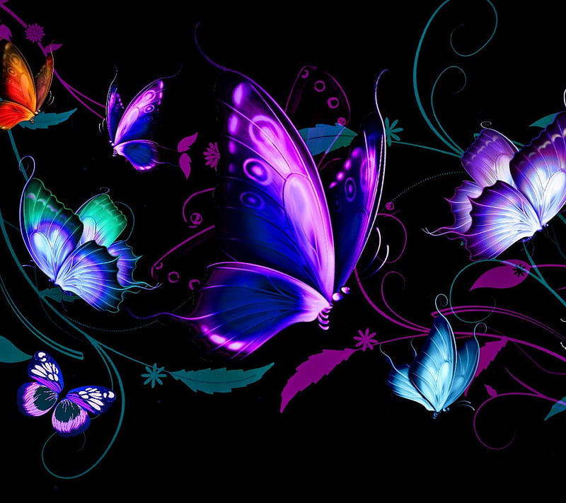 Abstract Butterflies, look, nice, HD wallpaper