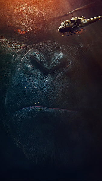 HD kingkong wallpapers | Peakpx