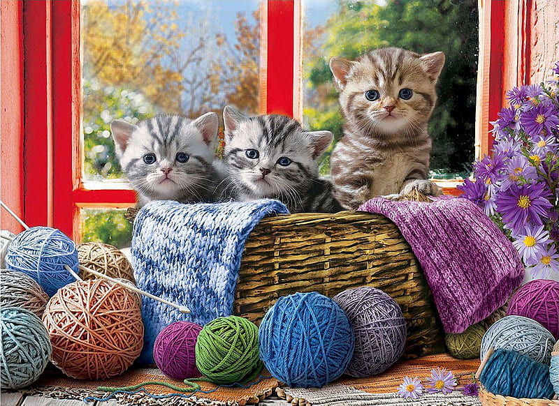 Knittin' Kittens, window, cats, kitten, wool, painting, HD wallpaper