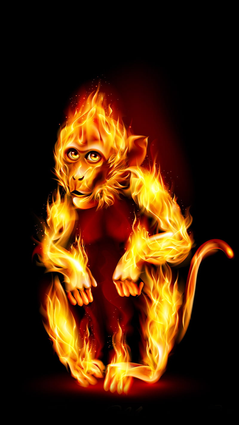 Fire monkey, 2016, burn, christmas, flame, symbol, year, zodiac, HD phone wallpaper