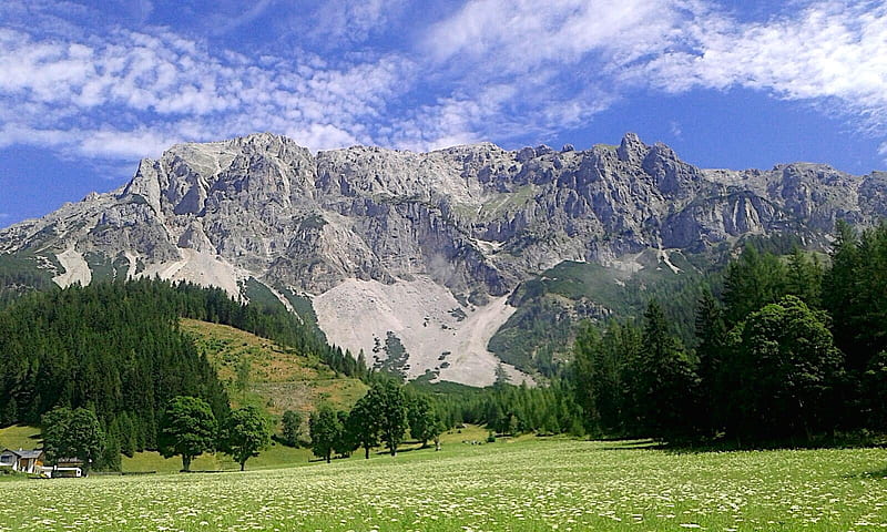 Dachstein glacier in Ramsau, Austria, sky, trees, alps, meadow, clouds, HD wallpaper