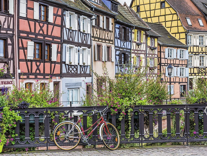 Colmar, France, city, ancient, houses, bridge, bicycle, river, HD wallpaper