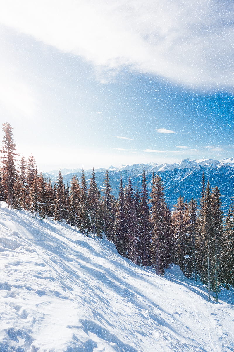 snow, slope, mountains, winter, trees, snowfall, HD phone wallpaper
