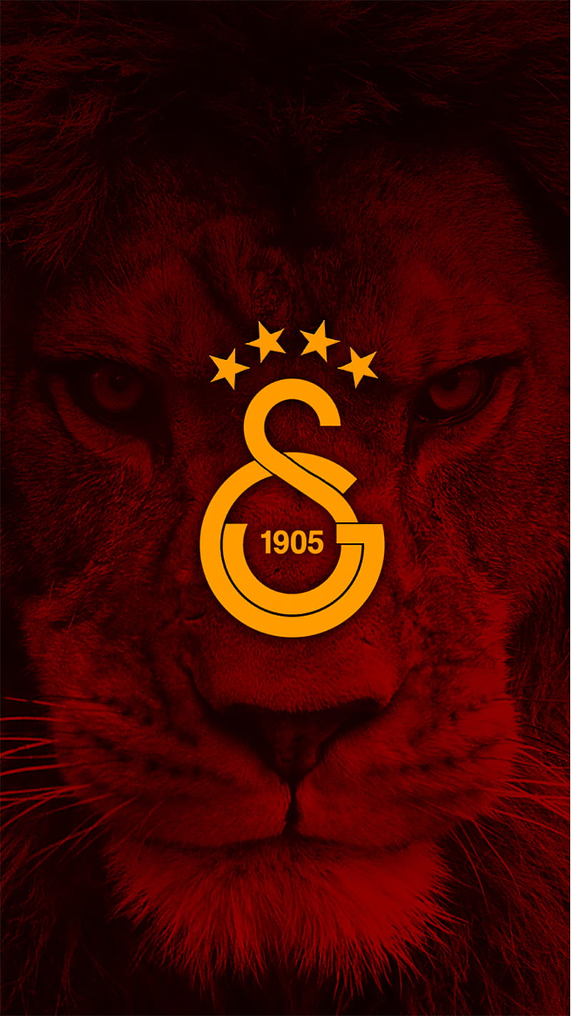 GALATASARAY - ASLAN, cimbom, football, football, lion, turkiye, HD phone wallpaper