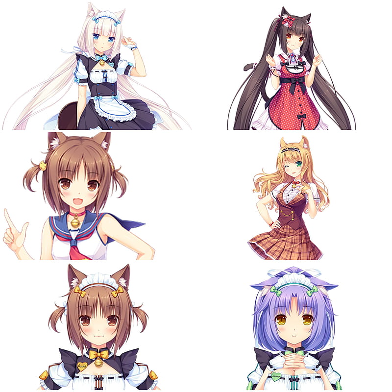 HD wallpaper: Anime, Nekopara, Azuki (Nekopara), Chocola (Nekopara),  Cinnamon (Nekopara) | Wallpaper Flare