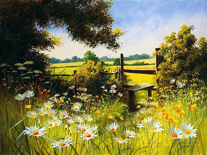 summer time, fence, daisies, painting, flowers, artwork, meadow, HD wallpaper