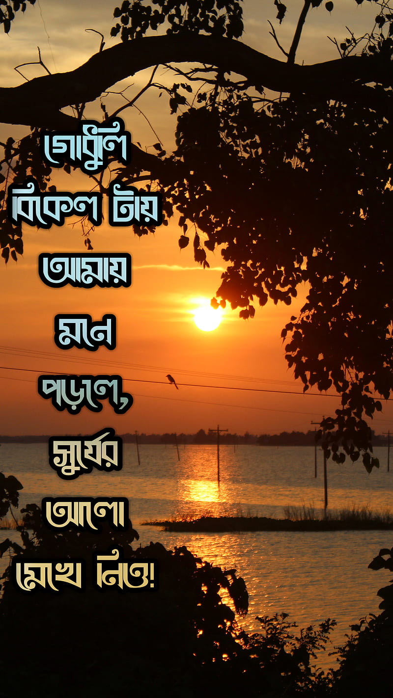 Bangla Saying, pain, broke, gf, HD phone wallpaper