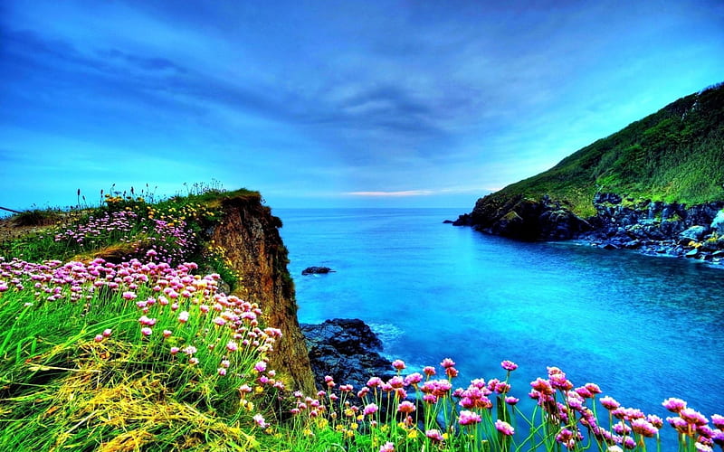 WILD FLOWERS, mountain, splendor, flowers, nature, meadow, sea, landscape, HD wallpaper