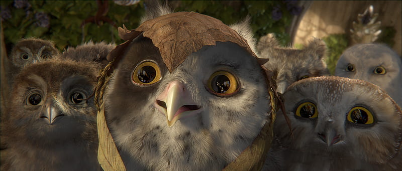Owlets From The Ga' Hoole Tree, birds, cute, owlets, animals, HD wallpaper