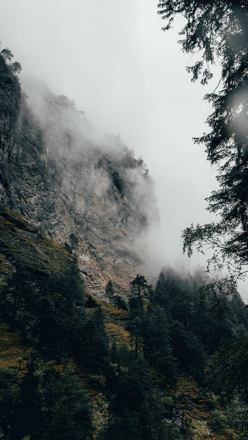 mountain, fog, trees, slope, switzerland, HD phone wallpaper