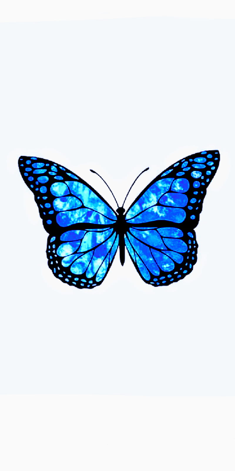 Simple Butterfly, blue, HD phone wallpaper