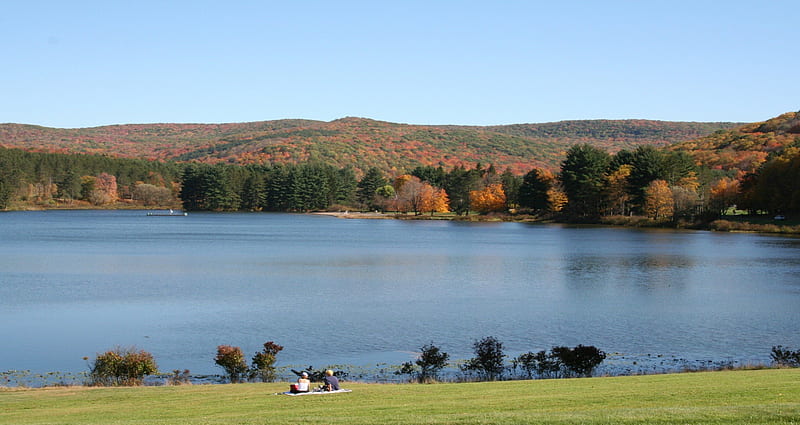 Allegany State Park, New York, forest, autumn, grass, newyork, colors, park, state, trees, sky, lake, water, green, allegany, nature, land, blue, HD wallpaper