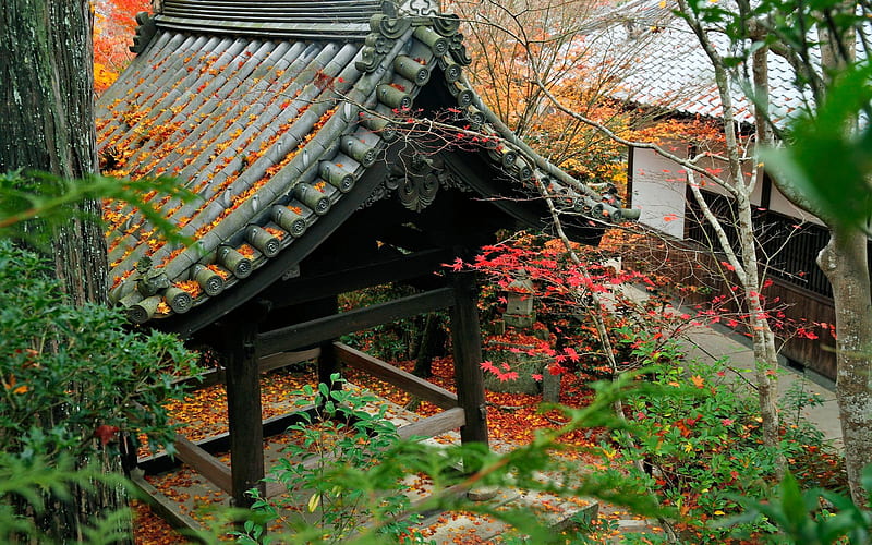 Corner of the courtyard-Enkoji Temple Autumn, HD wallpaper