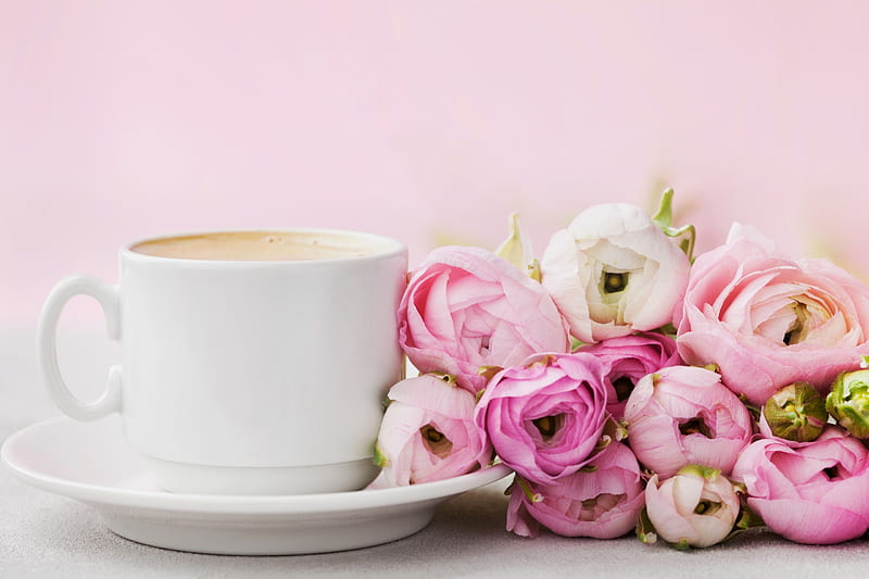 Good morning!, pink, ranunculus, coffee, flower, cup, morning, white, HD wallpaper