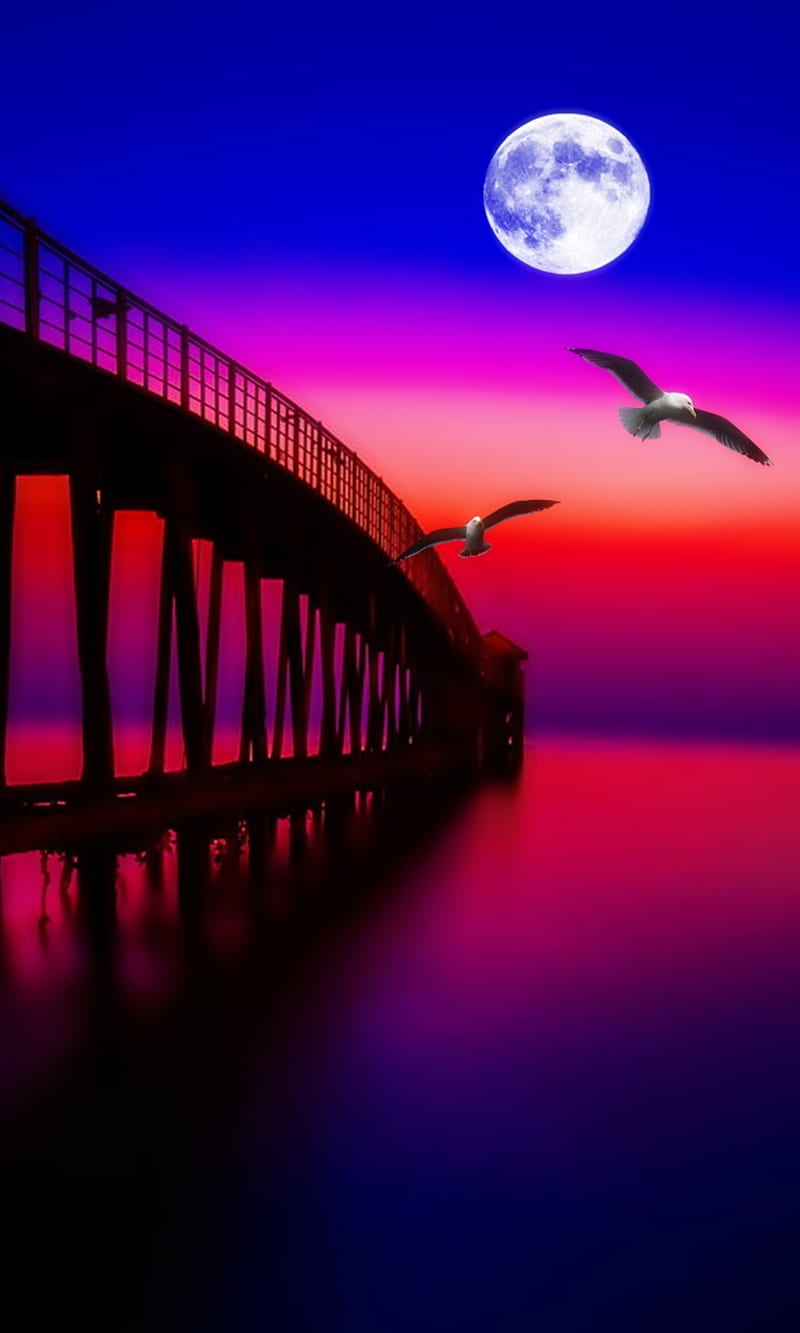 sunrise wharf, moon, natural, nature, new, ocean, sea gulls, HD phone wallpaper