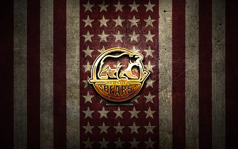 Hershey Bears flag, AHL, maroon brown metal background, american hockey team, Hershey Bears logo, USA, hockey, golden logo, Hershey Bears, HD wallpaper