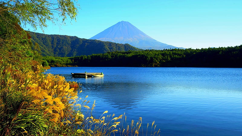 MOUNT FUJI,JAPAN, mountain, japan, boat, plants, Fuji, lake, HD wallpaper